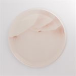 Pink porcelain meal plate