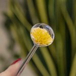 Aérateur à plante en verre - 32