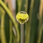 Aérateur à plante en verre - 33